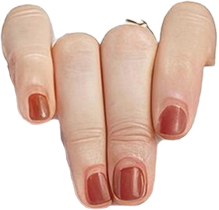 https://peh.pulpoagencia.com/wp-content/uploads/2025/08/about-me-hand-left.png
