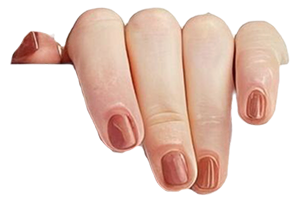 https://peh.pulpoagencia.com/wp-content/uploads/2025/08/about-me-hand-right.png